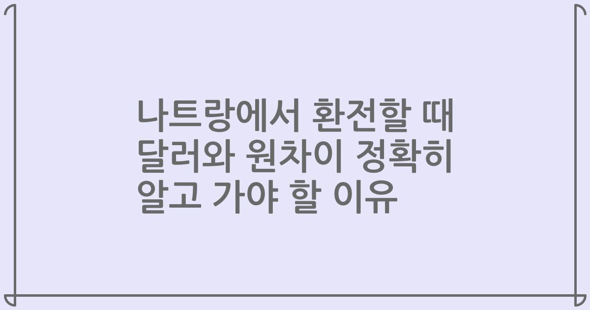 나트랑에서 환전할 때 달러와 원차이 정확히 알고 가야 할 이유